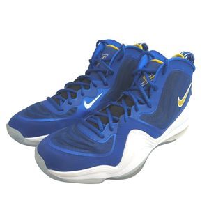 Nike Air Penny V (Blue Chips) 537331-402 Size 11
